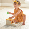Load image into Gallery viewer, Tiny Land® Montessori Toys Set for Infants (10-12 month)