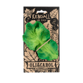 Load image into Gallery viewer, Kendall the Kale

