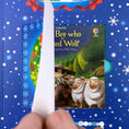 Load image into Gallery viewer, Usborne Advent Calendar Book Collection
