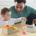 Load image into Gallery viewer, Tiny Land® Montessori Toys Set for Newborns (6-9 month)
