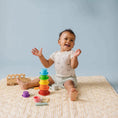 Load image into Gallery viewer, Tiny Land® Montessori Toys Set for Newborns (6-9 month)
